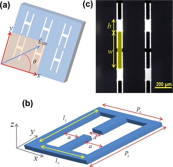 Optical Isotropy